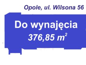 Opole / opolskie / ul. Wilsona 56