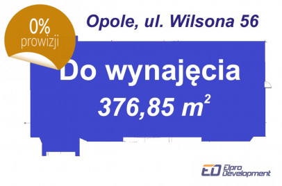 Lokal Wynajem Opole Thomasa Wilsona